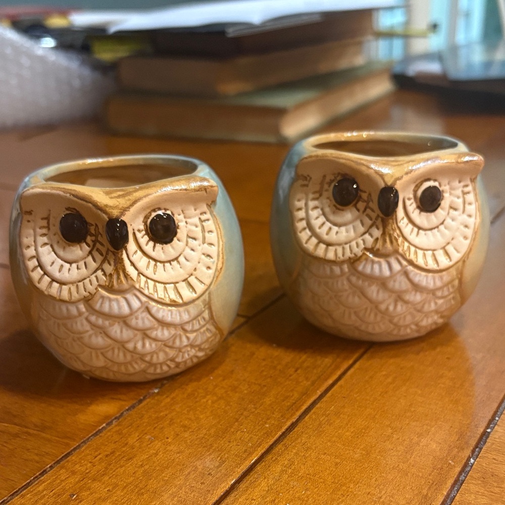 NWOT Set of 2 - Owl Ceramic Planter or Votive. So cute!
